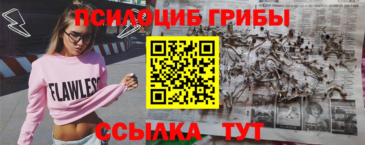 Галлюциногенные грибы MAGIC MUSHROOMS  Псилоцибиновые грибы ЛСД  Барабинск  Вход с VPN 